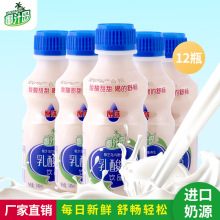 椰汁岛 乳酸菌340mlx12瓶  零脂肪酸奶牛奶胃动力儿童酸奶饮料