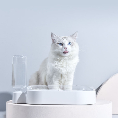 猫咪成套自动喂食器猫咪陶瓷饮水机过滤活泉宠物用品猫狗通用